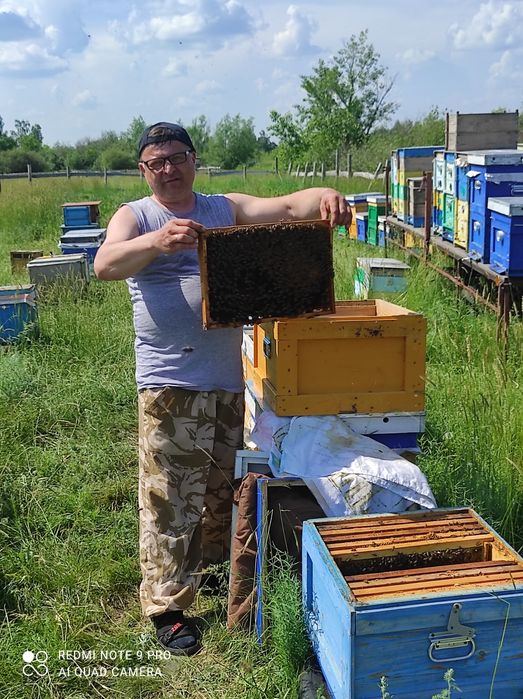 Продам мёд свежий 2026 г