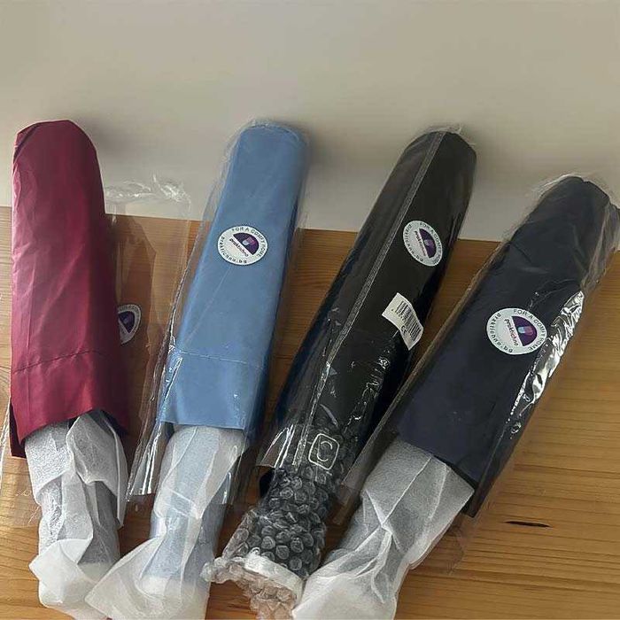 Чадър с автоматично отваряне и затваряне, 10 спици, с калъф, 4 цвята