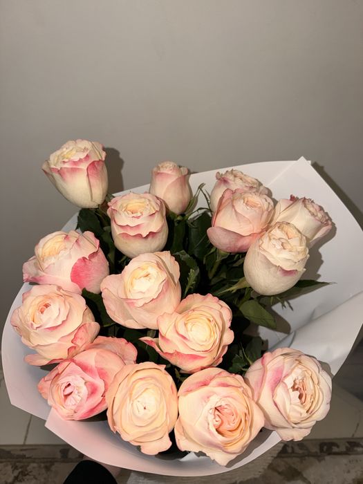 Свежиие красивые