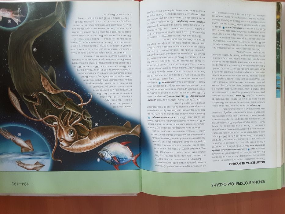 Подводный мир ( Полная энциклопедия )