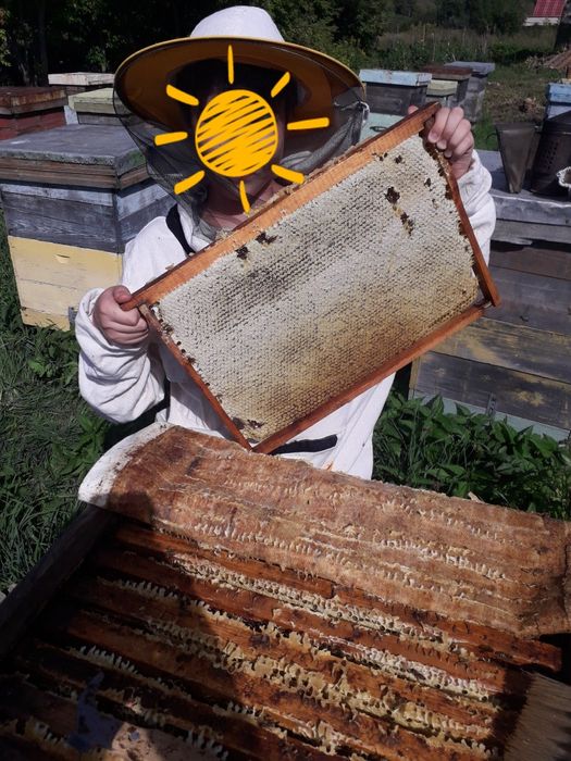 Продам мёд разнотравье