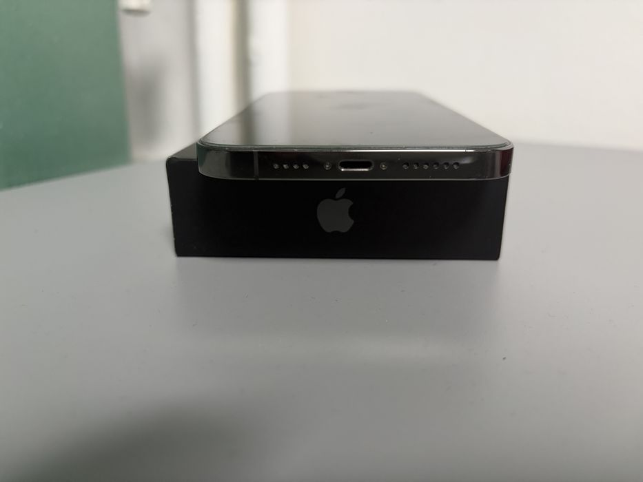 iPhone 12 Pro Max 256Gb