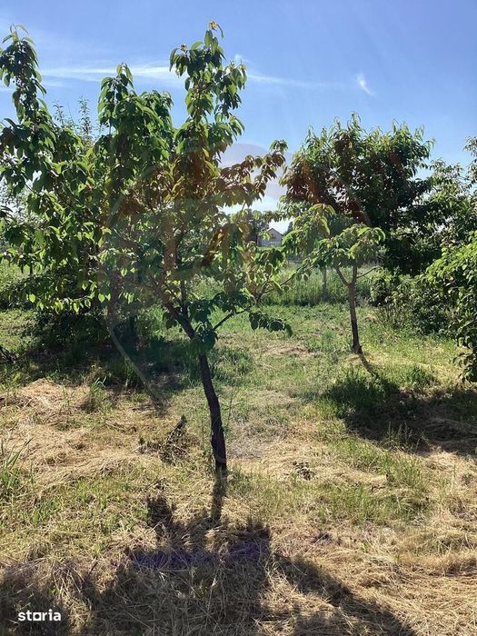 Vilă în Țegheș, comuna Domnești, P+1, aproape de pădure, acces rapid