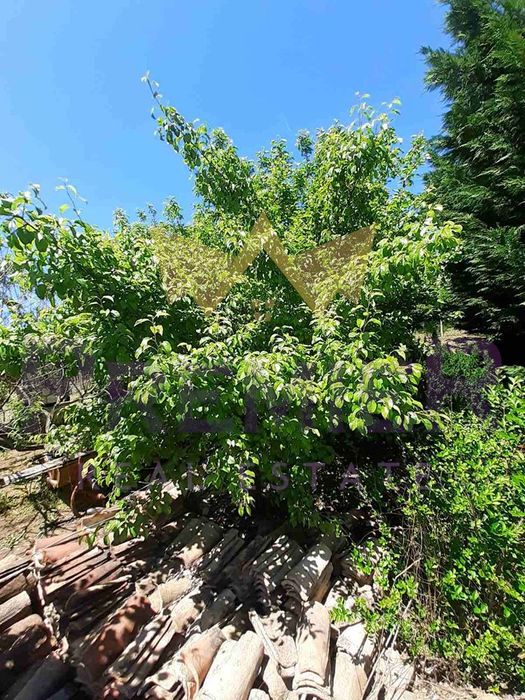 Продава се Парцел в с. Долище, Област Варна - 760 кв.м за 47 €/кв.м - Снимка #7