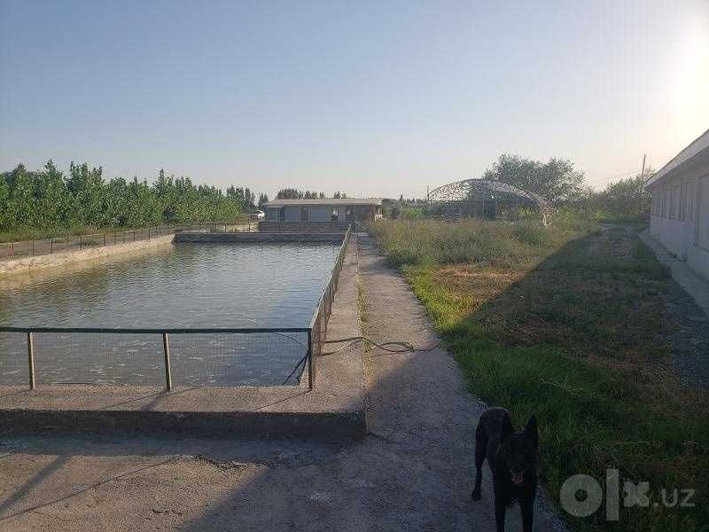 Intensiv, yopiq suv aylanma tizimli baliq yetishtirish bino-inshooti