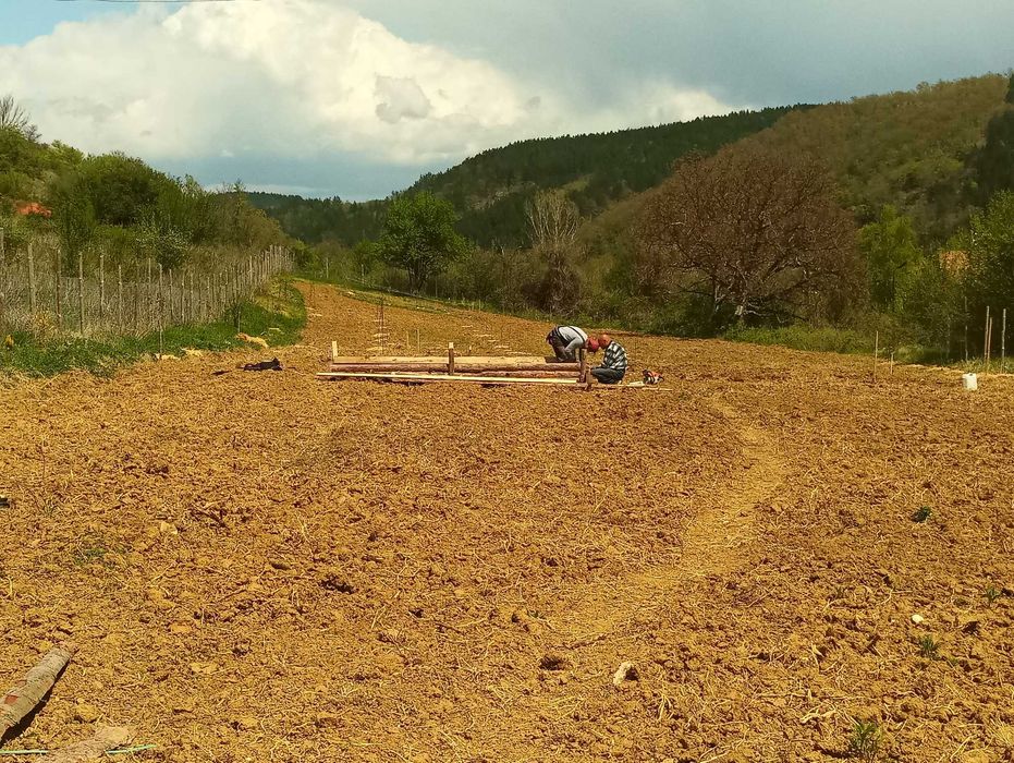 Продава се Земеделски имот в с. Згурово, Област Кюстендил -  кв.м за 3825 €/дка - Снимка #6