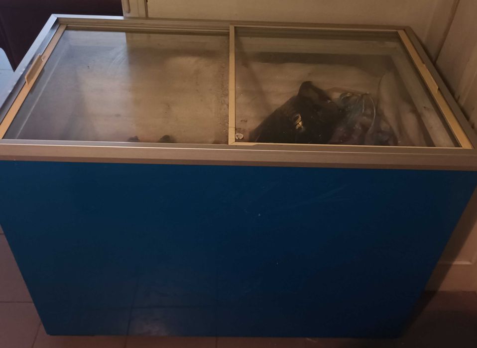 Фризер Ракла минусов