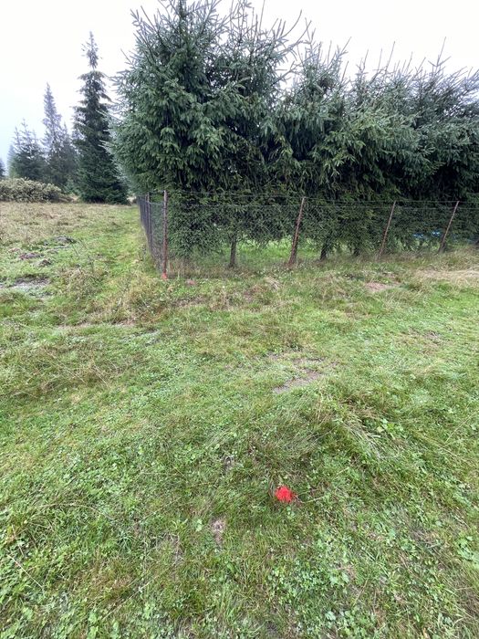 Teren intravilan 900 mp de vânzare – Bălcești, lângă Beliș, Cluj | La câteva minute de mers pe jos de Vârful Pipaș
