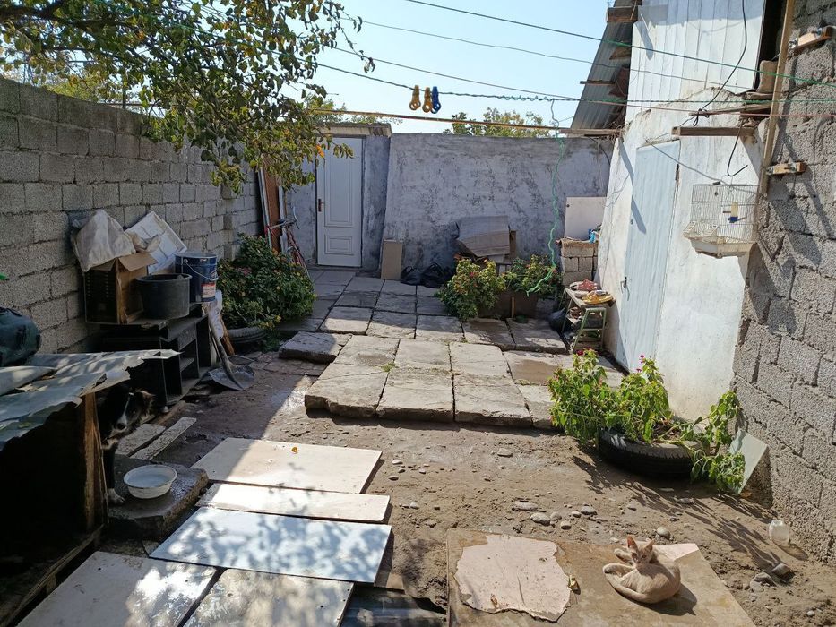 Сотувда участка, Эски Сергели, Дарё буйи кочасида