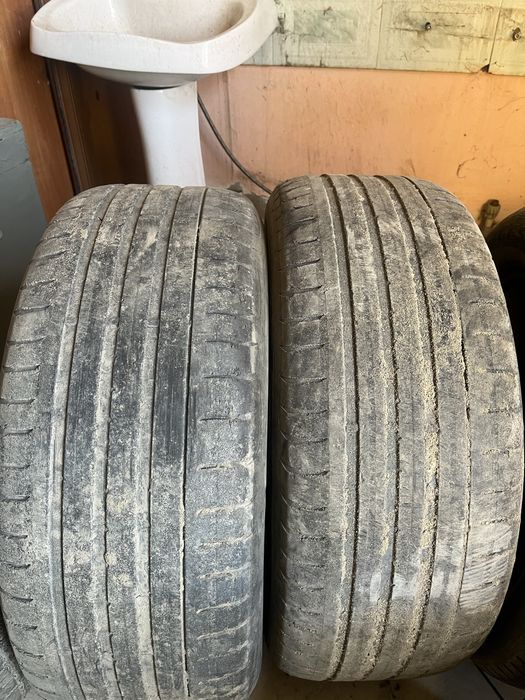 Продам ризина летный