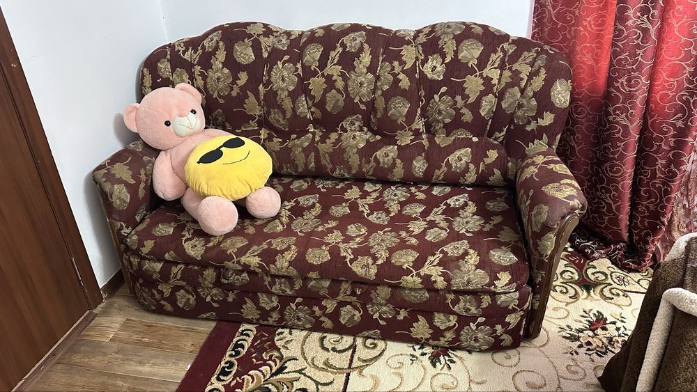 Сафа  отдам даром