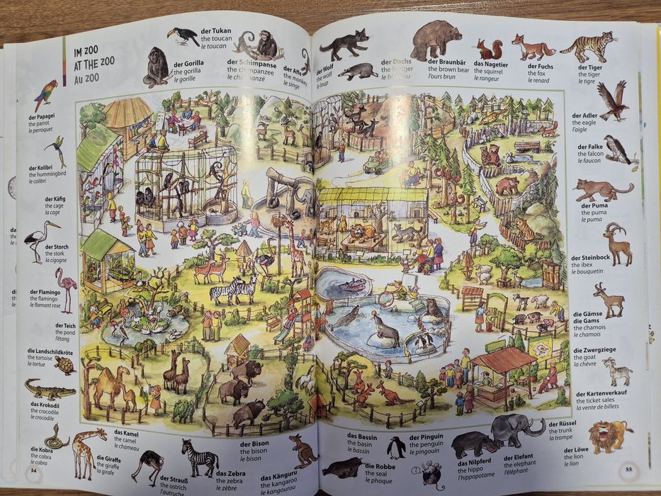 Lot dictionare in imagini si carte bilingva