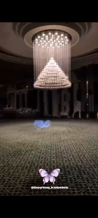 Шоу летающих бабочек