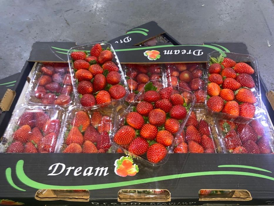 Клубника Египетская