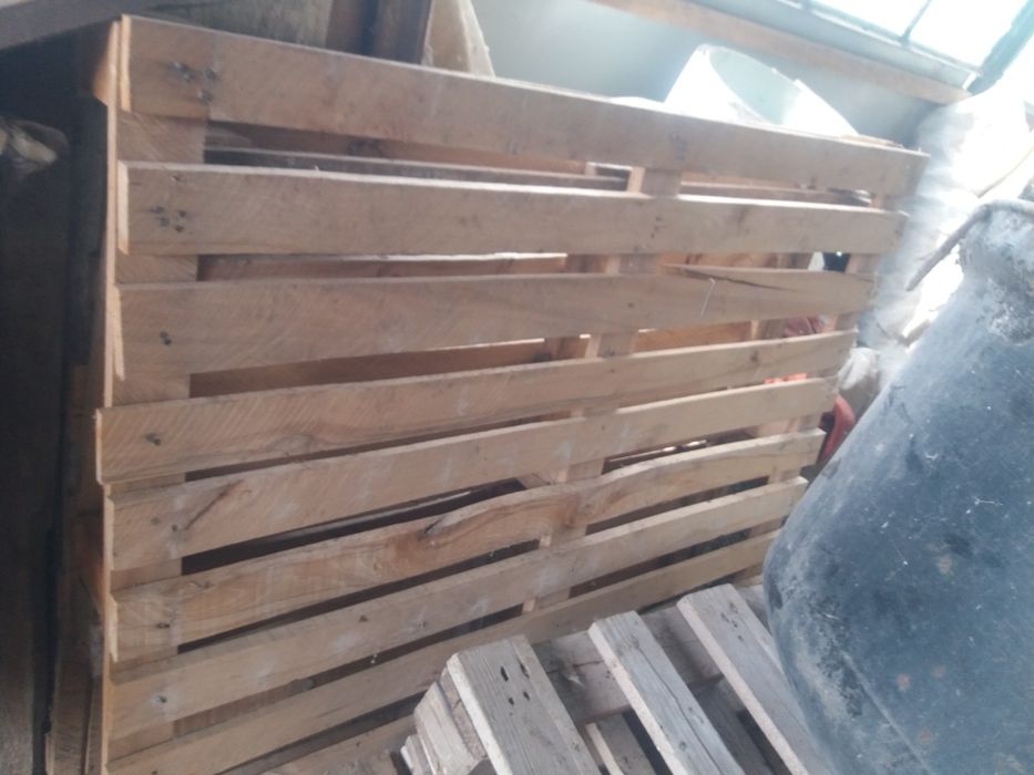 Paleti Euro si non Euro