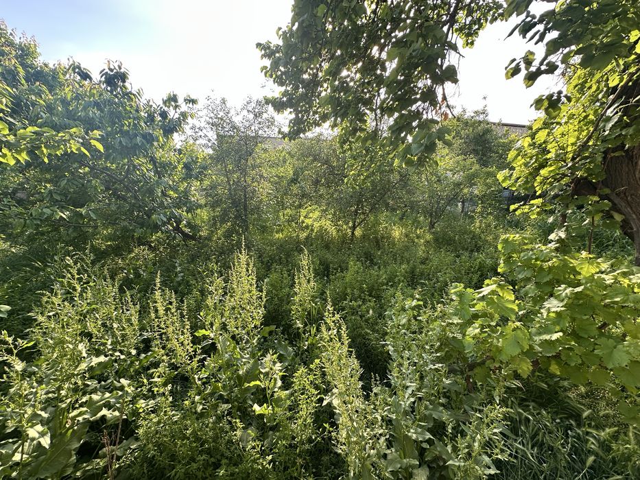 Сотилади: Ер участкаси ва эски уй (13 сотих)