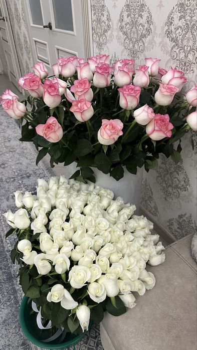 Цветы гүлдер бүгінгі