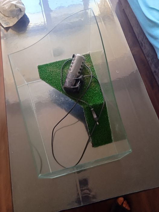 Аквариум за костенурка