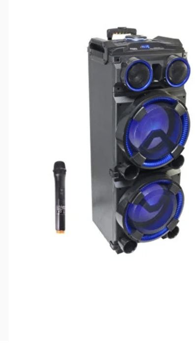 Boxa ibiza si microfon