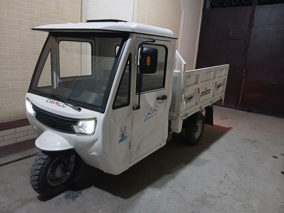 Муравей/матарол/ matarol.CAVALO