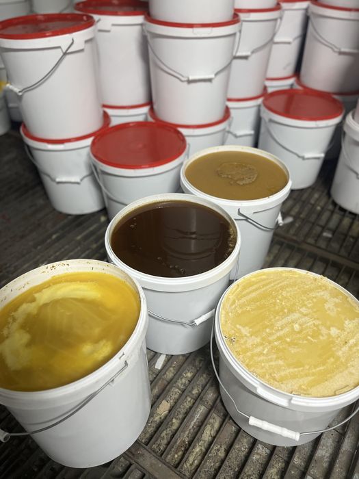 Мёд натуральный оптом