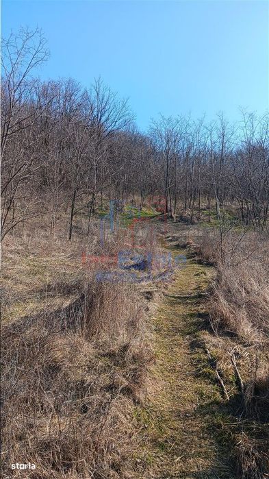 Sat Cercu com Barnova Teren 3000mp cu casa batranesca la str asfaltata