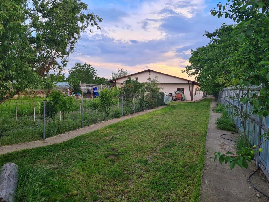 Hala - Birouri Casa - Locuinta