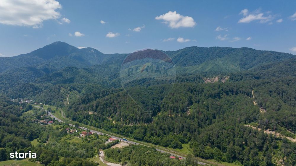 TTeren intravilan, 3500 mp, Dâmbu Morii