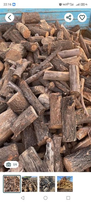 Карагач с доставкой на шашлык