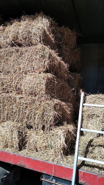 Vand baloți de lucerna și otavă