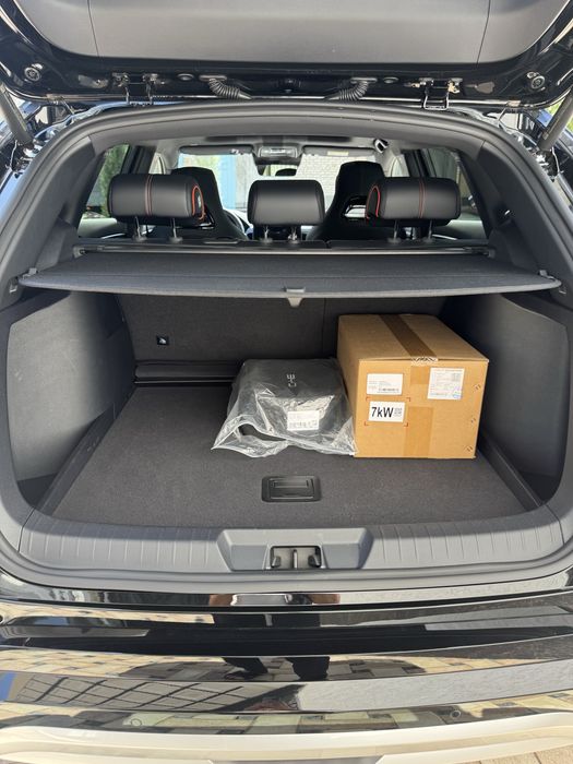 Byd chempion gibrit