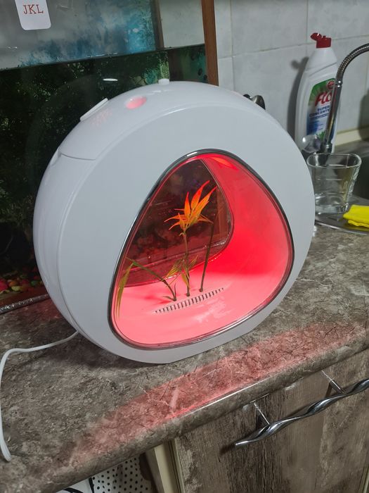 Аквариум  для  рыбки  петушка