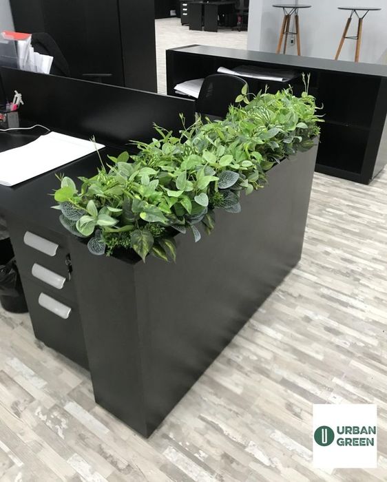 искусственный офисные цветы офис учун гуллар от 100