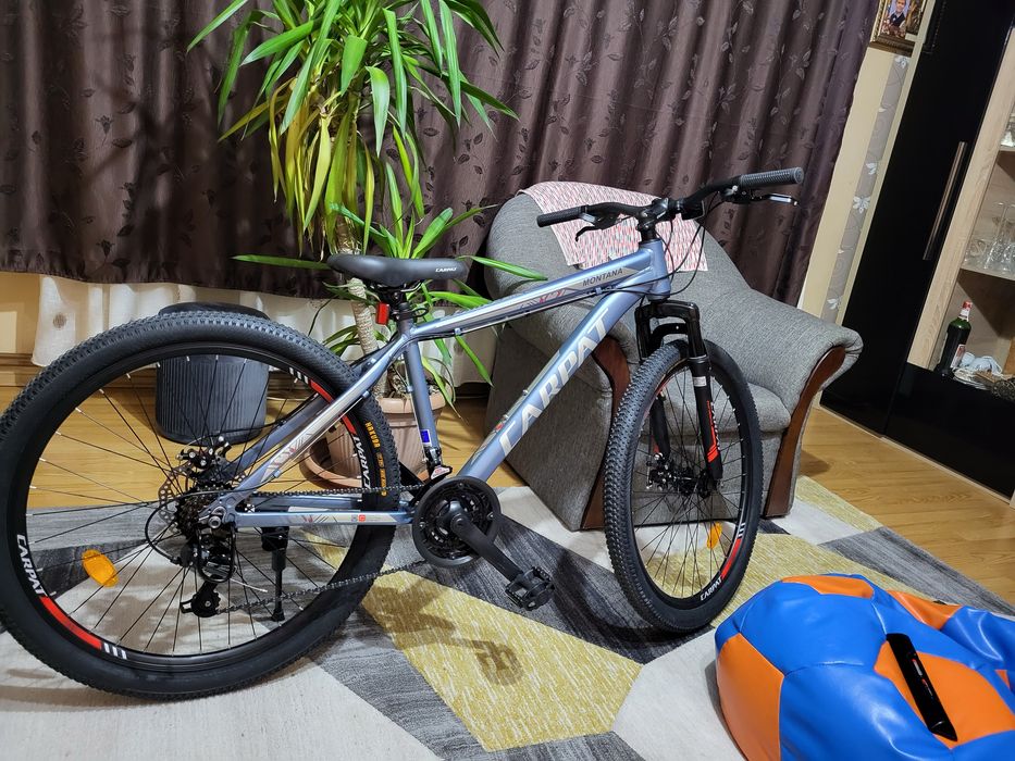 Bicicleta carpat