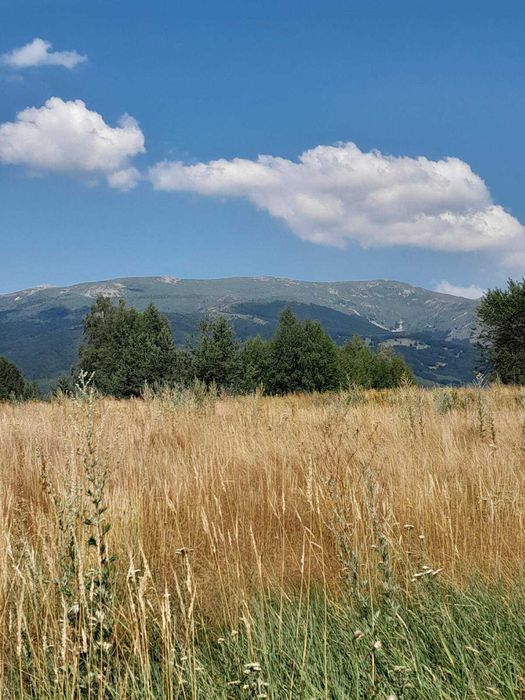 Парцел  , с.Железница