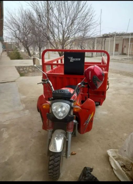 Лочин 200 холати