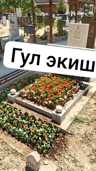 Богбон хизмат Садовник