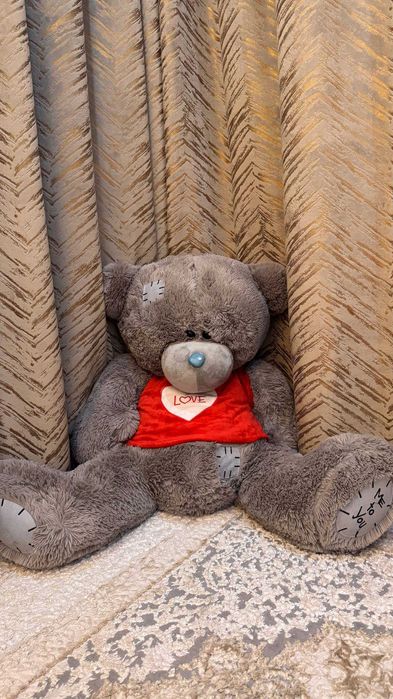 14 Fevralga so'vga qilishga Ayiq