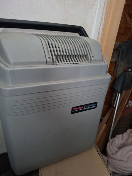 Lada Coleman racire la masina