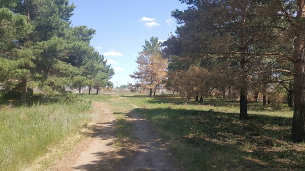 Продам Базу Отдыха !