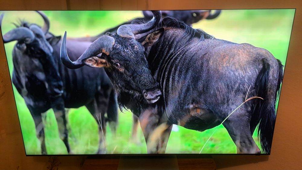 Флагман Samsung Neo Qled 8K