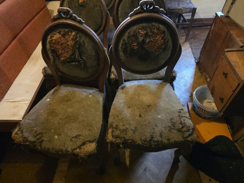 Старинни столове комплект