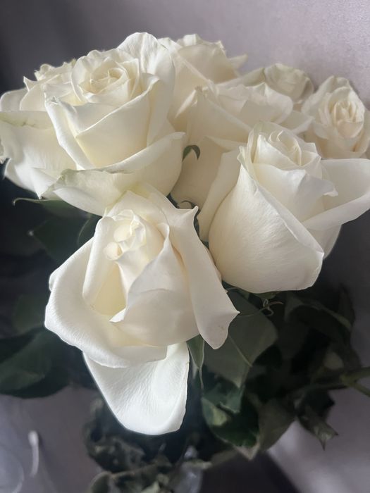 Лепестки этих роз