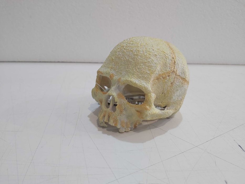 Декорация за терариум