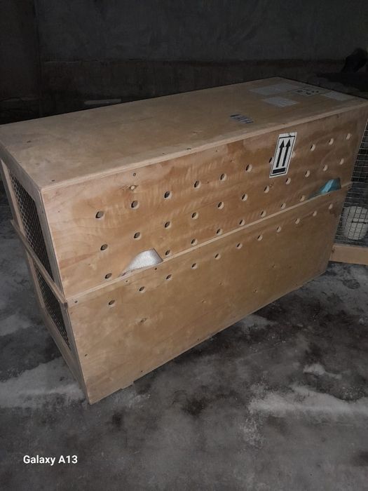 Авиабокс для больших животных