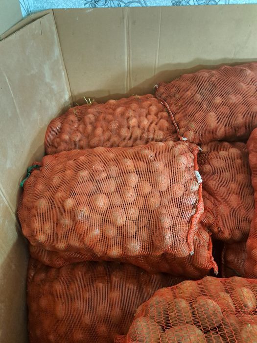 Продам корофель семейная