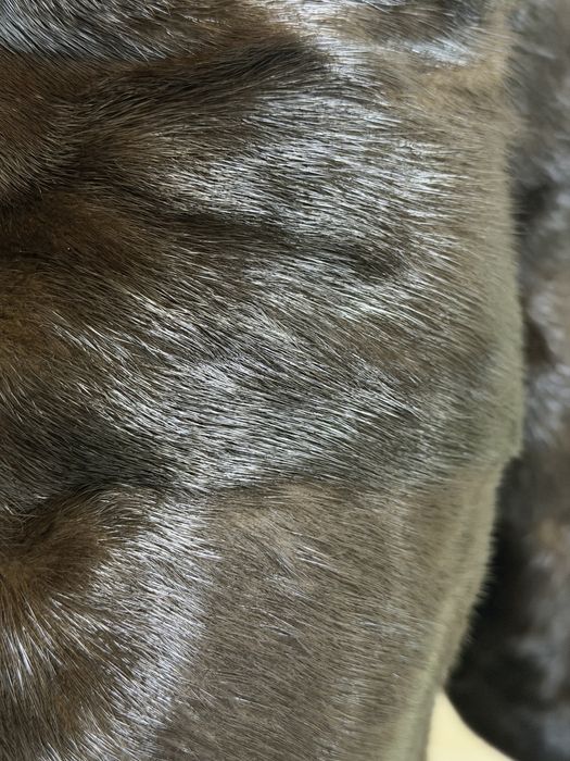 Шуба   Норковая