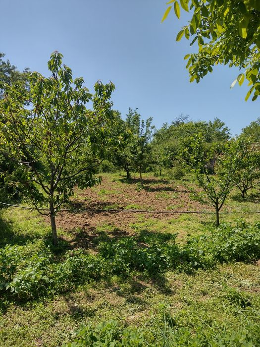 Продава се Къща в с. Константиново, Област Хасково - 100 кв.м за 419 €/кв.м - Снимка #10