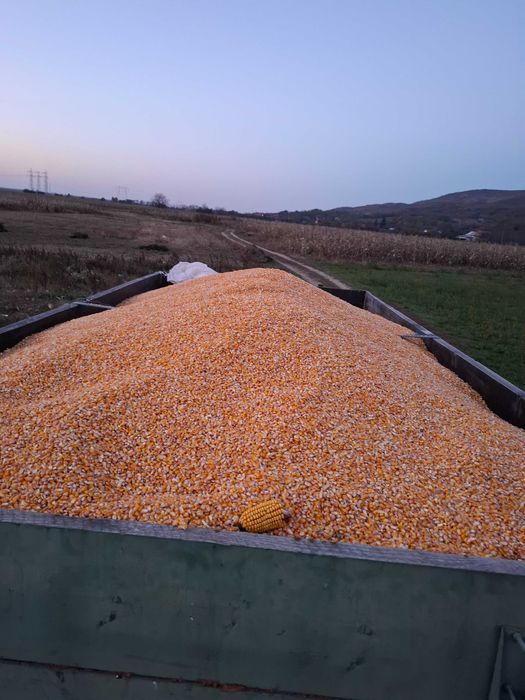 Graunțe de vânzare