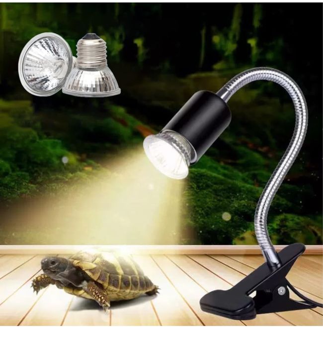 Acvariu Broscute Testoase 35 cm cu toate optionalele